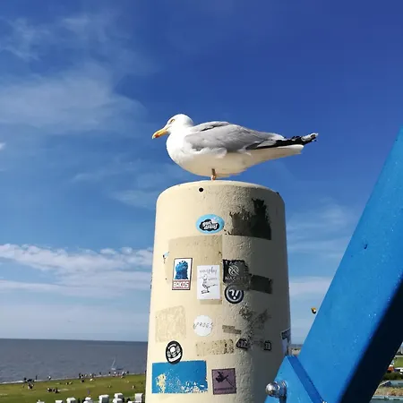 Eschen's Blick * アウリッヒ