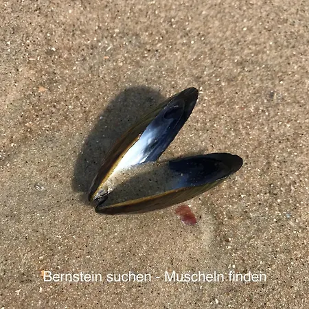 Eschen's Blick * アウリッヒ