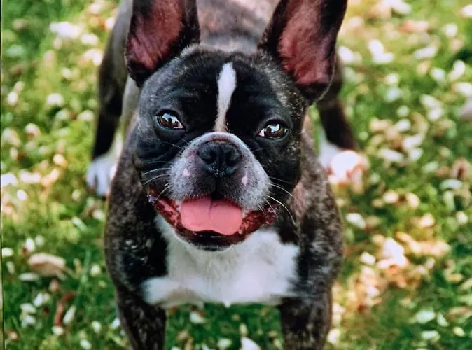 Eschen's Blick Lägenhet *