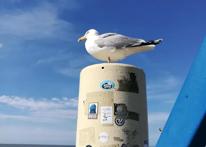 Eschen's Blick * Aurich