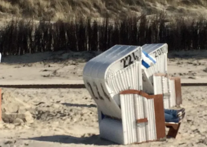 Eschen's Blick 奥利希