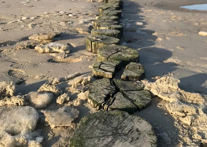 Lägenhet Eschen's Blick